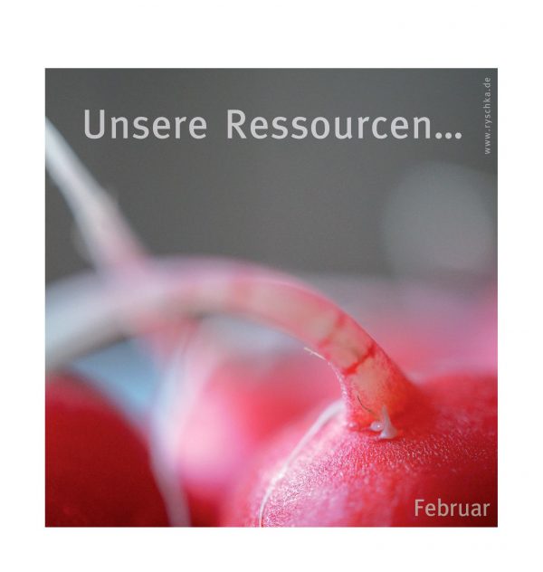 Kalender "Selbstkontrolle" – Bild 4