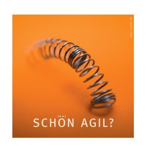 Kalender "Scho(e)n agil?"